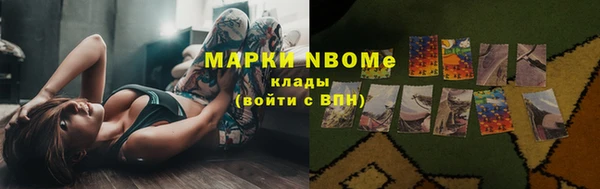 ПСИЛОЦИБИНОВЫЕ ГРИБЫ Вязники